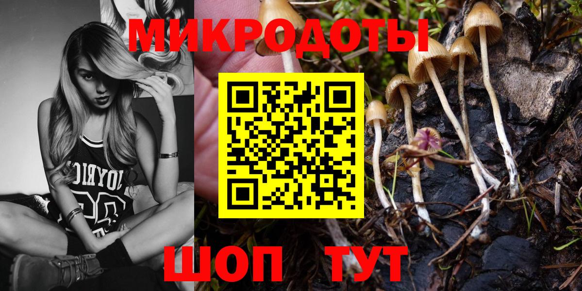Галлюциногенные грибы Cubensis Кирово-Чепецк