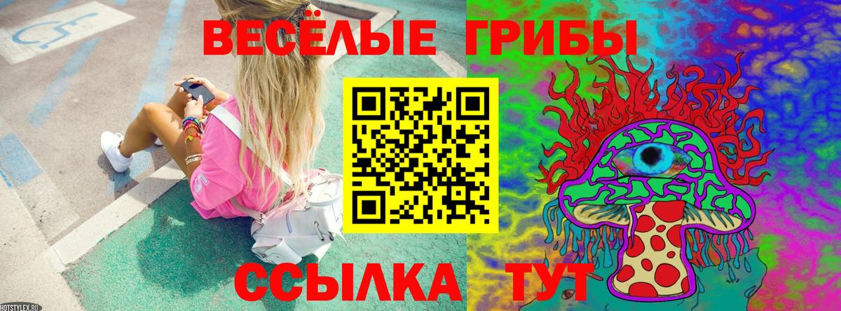 NBOMe  Вход с VPN  Гашиш  КОКАИН  МЕФ кристаллы  Конопля  Кирово-Чепецк  ГАШИШ 